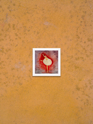 Ballerine - 15 x 15 cm